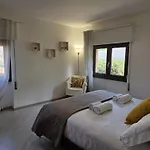 Zenzero Comfort *