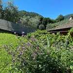 Zenzero Comfort Apartmán *