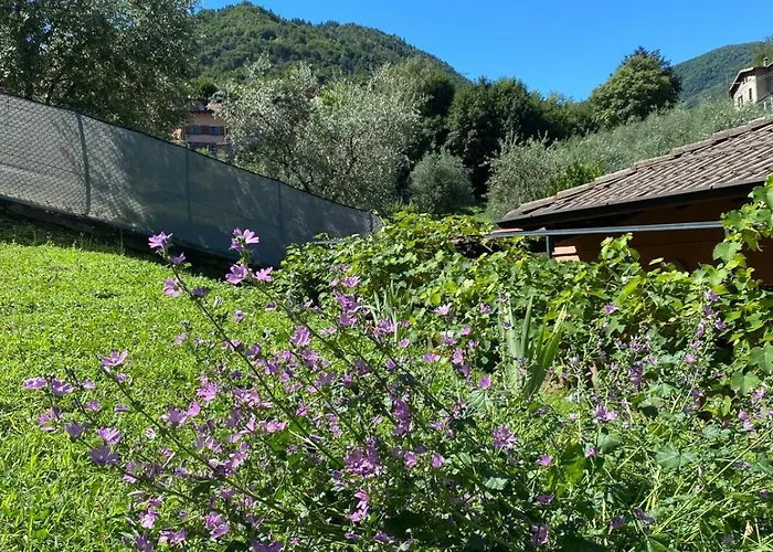 Zenzero Comfort Apartment *